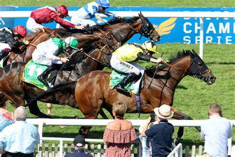 bless him horse|Runner Statistics & Form Guide: Bless Him (IRE) .